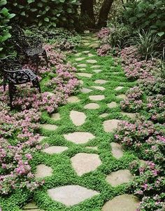 a stone path in the middle of a garden filled with purple flowers and green grass