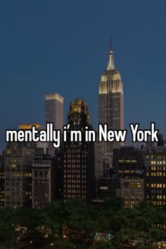 Nyc Baby, Empire State Of Mind, Nyc Aesthetic, Nyc Life, New York Life, City That Never Sleeps, Nova York, Dream City, Living In New York