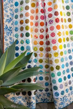 a potted plant sitting next to a colorful quilt