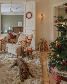 a dog laying on the floor in front of a christmas tree