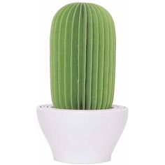 a green cactus in a white pot