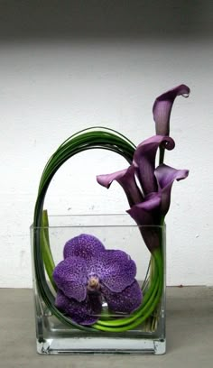 purple flowers in a glass vase with water