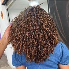 Black Curly Highlights, Honey Caramel Highlights On Curly Hair, Honey Curly Hair, Honey Brown Highlights Curly Hair, Honey Brown Curls, Honey Brown Highlights, Hair Chestnut Brown