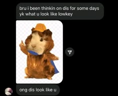 a hamster is wearing a hat and holding a blue object in its mouth while text reads, bru i been thinn on dis for some days yk what u look like lonky