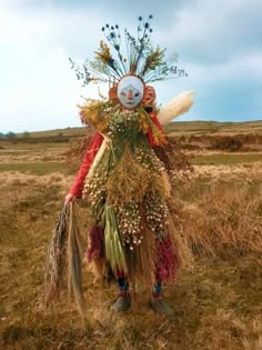 a scarecrow standing in the middle of a field