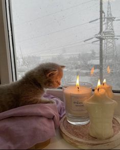 a cat sitting on top of a window sill next to two candles and a towel