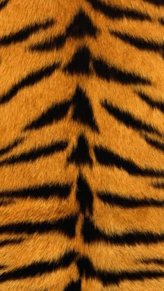 an animal fur pattern that looks like tiger stripes