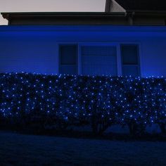 a hedge covered in blue lights next to a house