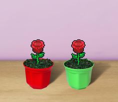 two potted plants with red flowers in them