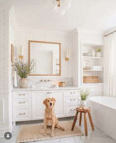 a dog is sitting in the middle of a bathroom with white cabinets and gold accents