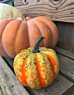 two pumpkins sitting on a wooden bench next to each other