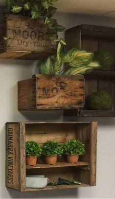 Hang crates on walls for plants etc. Old Crates Ideas, Wood Crates On Wall, Wooden Crate Wall Decor, Old Boxes Wooden Ideas, Wine Box Decoration Ideas, Crates As Shelves On Wall, Crates On Wall Bedroom, Wine Crates Ideas Decor Wooden Boxes, Decorating With Vintage Crates