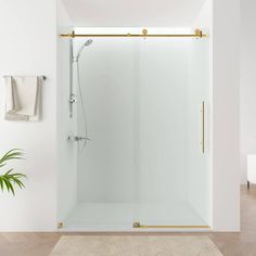 a bathroom with white walls and wooden flooring, a shower door and towel rack