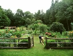 a man is in the middle of a garden