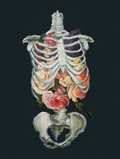 a painting of a human skeleton with flowers in it's ribcage, and a bird perched on the bone