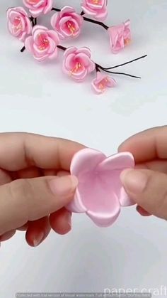 two hands are holding pink flowers on a white surface and one hand is holding an object