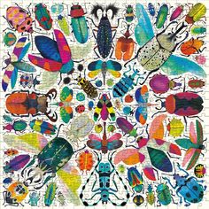 an image of colorful bugs on white paper