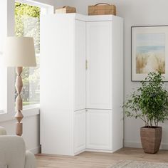 a living room with white furniture and a potted plant