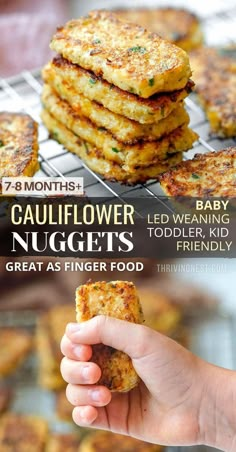 Cauliflower nuggets tots for kids Healthy Baby Snacks Homemade, Toddler Recipes Dinner, Prep Food Ideas, Toddler Recipes Picky, Easy 11 Month Old Meals