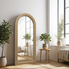 an arch shaped mirror in the corner of a room with potted plants on either side