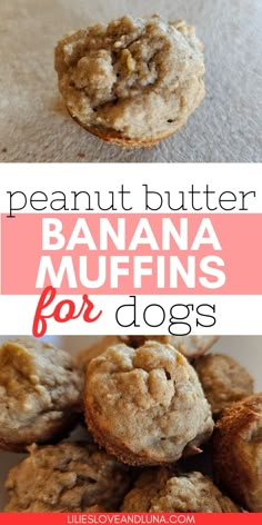 banana muffins for dogs with the title above it