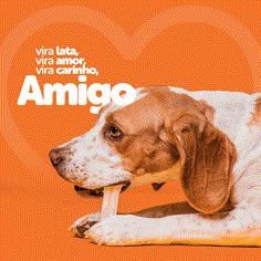 a brown and white dog laying on top of an orange floor next to a heart