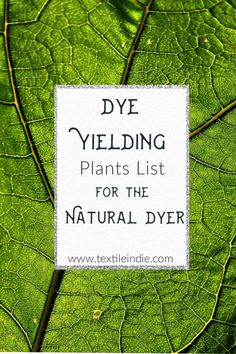 a close up of a leaf with the words dye velding plants list for the natural dyer