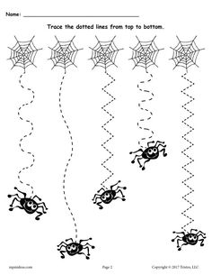 halloween worksheet for kids to practice counting and matching numbers with spider webs