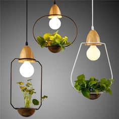 three hanging planters with plants in them and one light bulb on the ceiling above