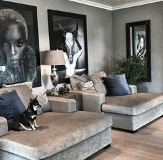 a living room with couches and pictures on the wall above them, along with a dog laying on the floor