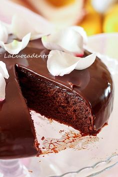 a chocolate cake with white flowers on top