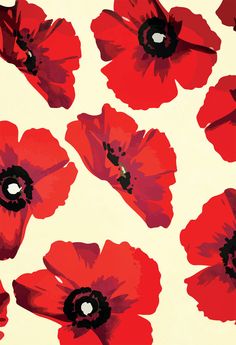 an image of red flowers that are on a white background with black dots in the center