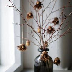 a vase filled with branches and nuts on top of a table next to a window