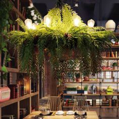 a room filled with lots of books and plants hanging from the ceiling next to a wooden table