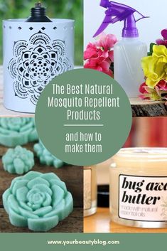 the best natural mosquito repellent products and how to make them