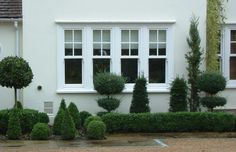 a white house with some trees and bushes in front of the windows on either side