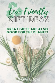 an eco - friendly gift idea great gifts are also good for the planet and it is easy to make