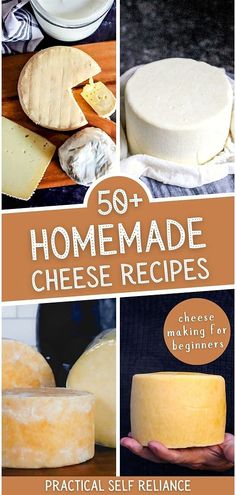 the cover of 50 homemade cheese recipes with pictures of cheeses and other ingredients on it