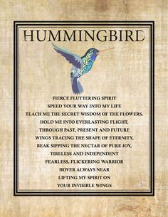 the hummingbird poem on parchment paper