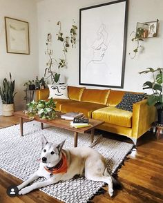 a white dog laying on top of a rug in a living room next to a yellow couch