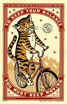 a cat is riding a bicycle with the caption keep your balance you must keep moving