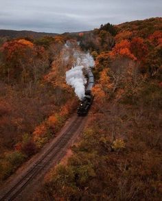 Aesthetic Background Green, Connecticut Fall, Train View, Evermore Aesthetic, Mine Aesthetic, Fall Photography, Background Green, Autumn Magic, Green Pumpkin