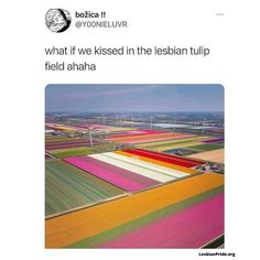 What If We Kissed, We Kissed, One Month Anniversary, Tulip Field