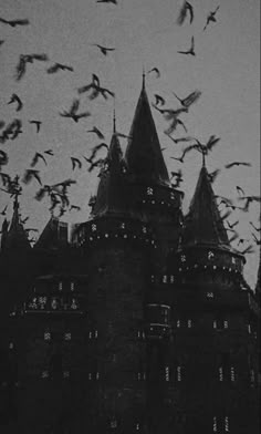 a flock of birds flying in front of an old building with spires and towers