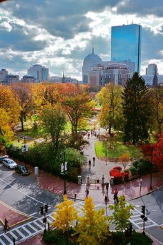 an aerial view of a city park in the fall