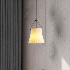 a lamp hanging from the side of a wooden wall next to a potted plant