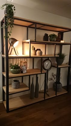 a shelf with plants and vases on it