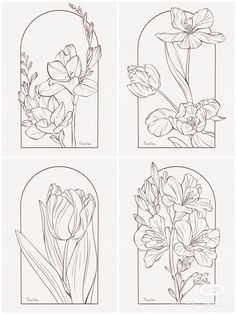 Botanical Sketches, Desain Quilling, Different Types Of Flowers, Flower Art Drawing, Floral Drawing, Botanical Illustrations, Graphite Pencils, Coloring Book Art, Watercolor Brushes