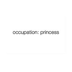 the words'occupation princess'written in black on a white background