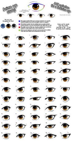 an eye chart showing the different types of eyes and how they are used to draw them